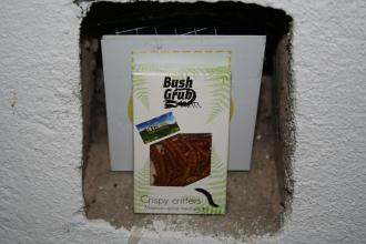 The holes in the circular wall now act as a kind of shelf for each kind of edible insect Museo Mundial_PT_Insects_3