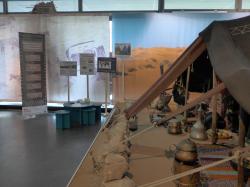 Surrounding Area_Gender